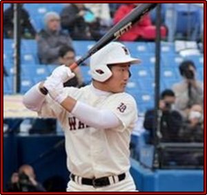 野村大樹　経歴　特徴