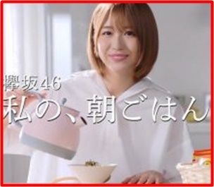 お茶漬けcmの女優 ベーコン茶漬けの茶髪の女の子 は誰 19